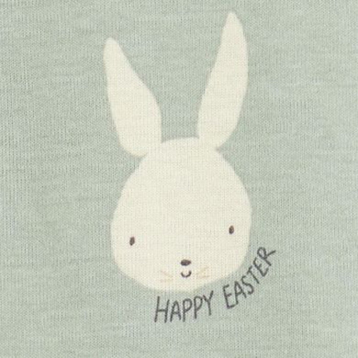 2 Pieces Bunny Printed Short Sleeve Top And Pant Set