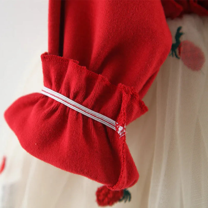 Ladybug Tulle Dress